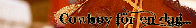 Cowboy för en dag Cowboy för en dag